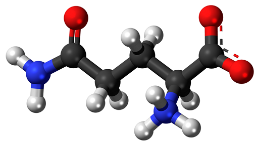 Glutamine