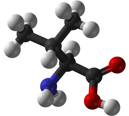 L-Valine